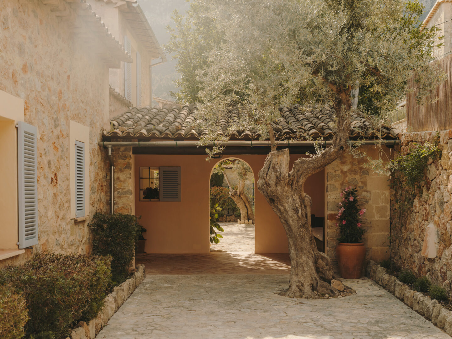 Stone pathway leading to an archway, surrounded by olive trees and rustic buildings in a sunny courtyard.
