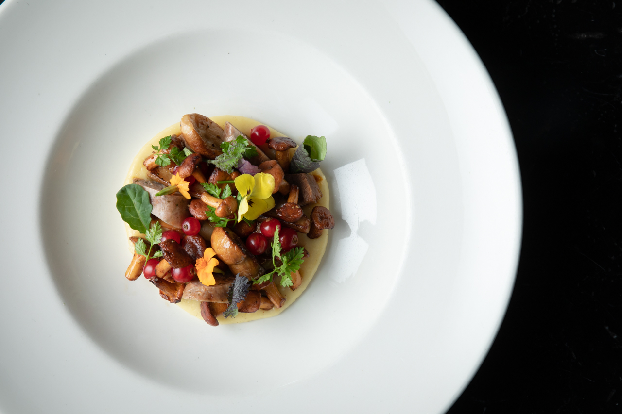 Colorful dish featuring sautéed mushrooms, herbs, and edible flowers on a creamy base, presented on a white plate.