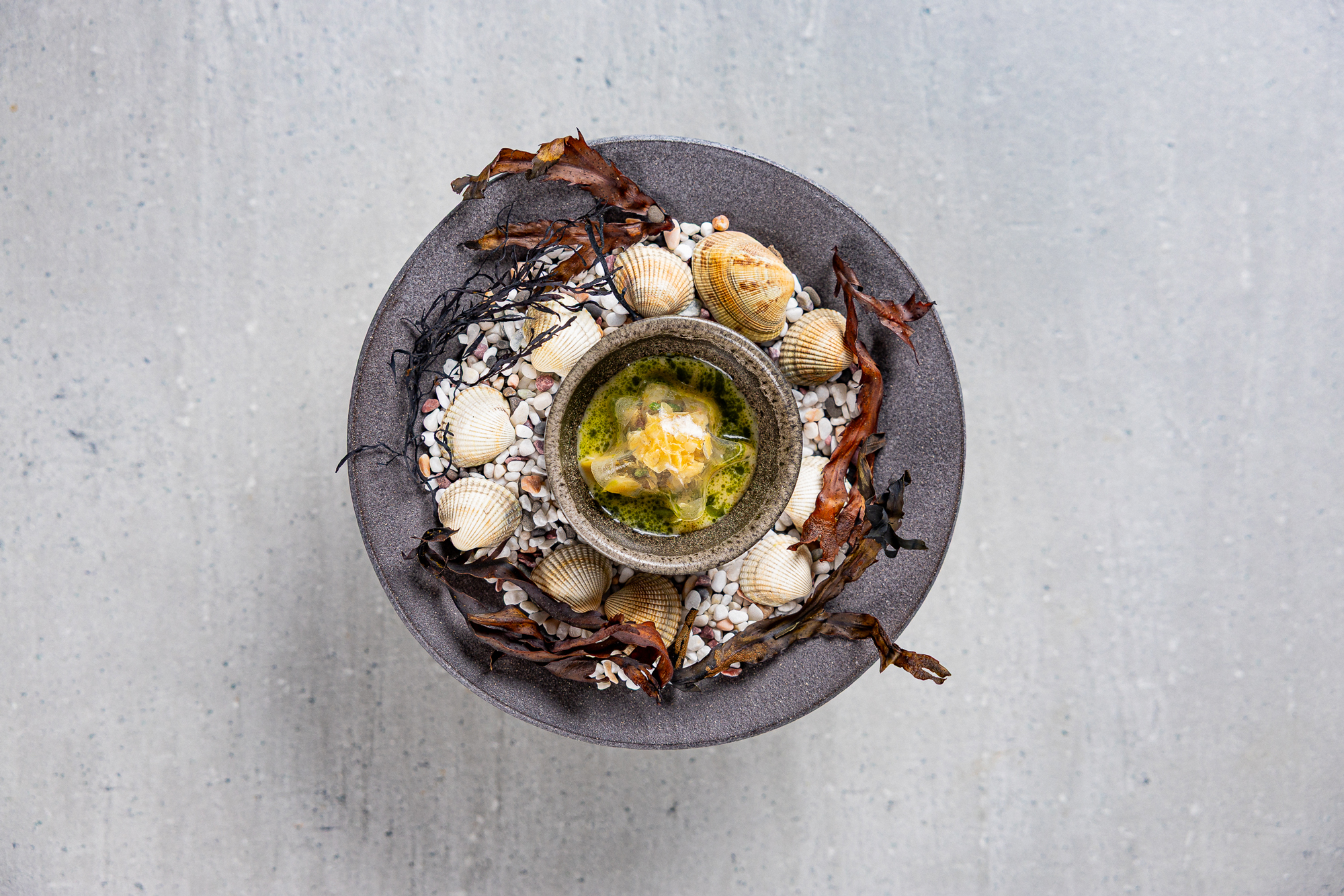 A decorative plate featuring a small bowl of green strawberry dish surrounded by seashells and seaweed.