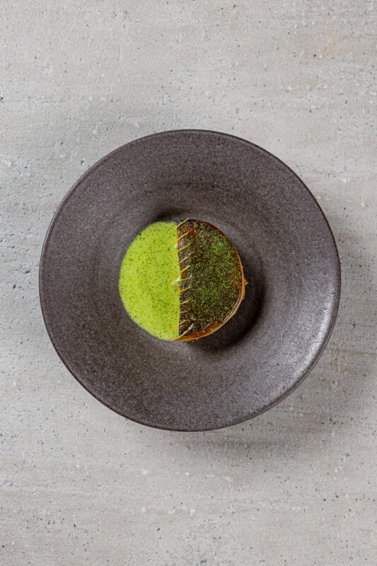 Kohlrabi slice topped with green sauce, served on a dark, round plate against a textured gray background.