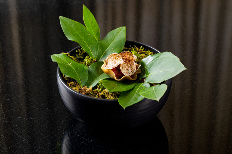 A small black bowl filled with green leaves and moss, featuring a brown, textured flower in the center.