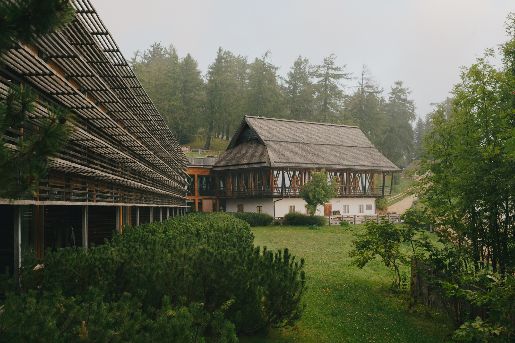 Modern building with a thatched roof surrounded by greenery and misty trees, part of the vigilius context.