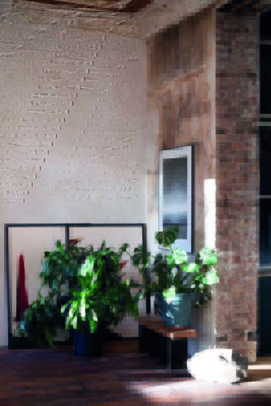 Indoor scene featuring large green plants in pots, a wooden bench, and framed artwork against a textured wall.