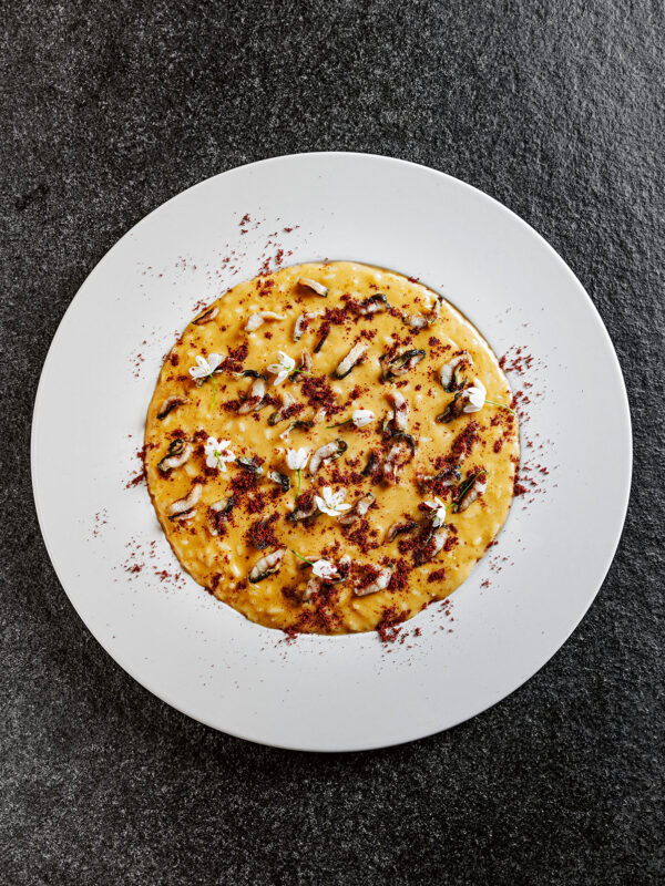 Creamy pasta dish topped with herbs and spices, served on a white plate against a dark background.