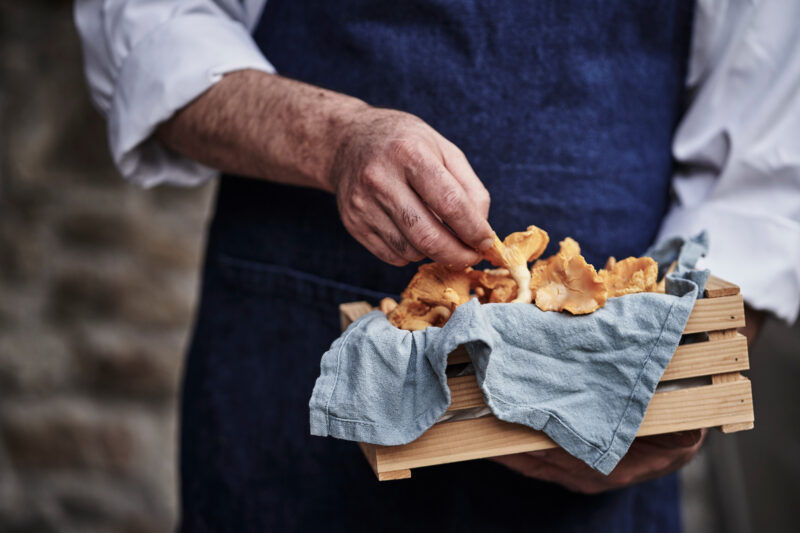 A person in a blue apron holds a wooden crate filled with fresh chanterelle mushrooms, draped with a light blue cloth.