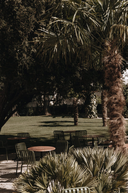 Lush garden at Parkhotel Mondschein featuring palm trees and green chairs around small tables.