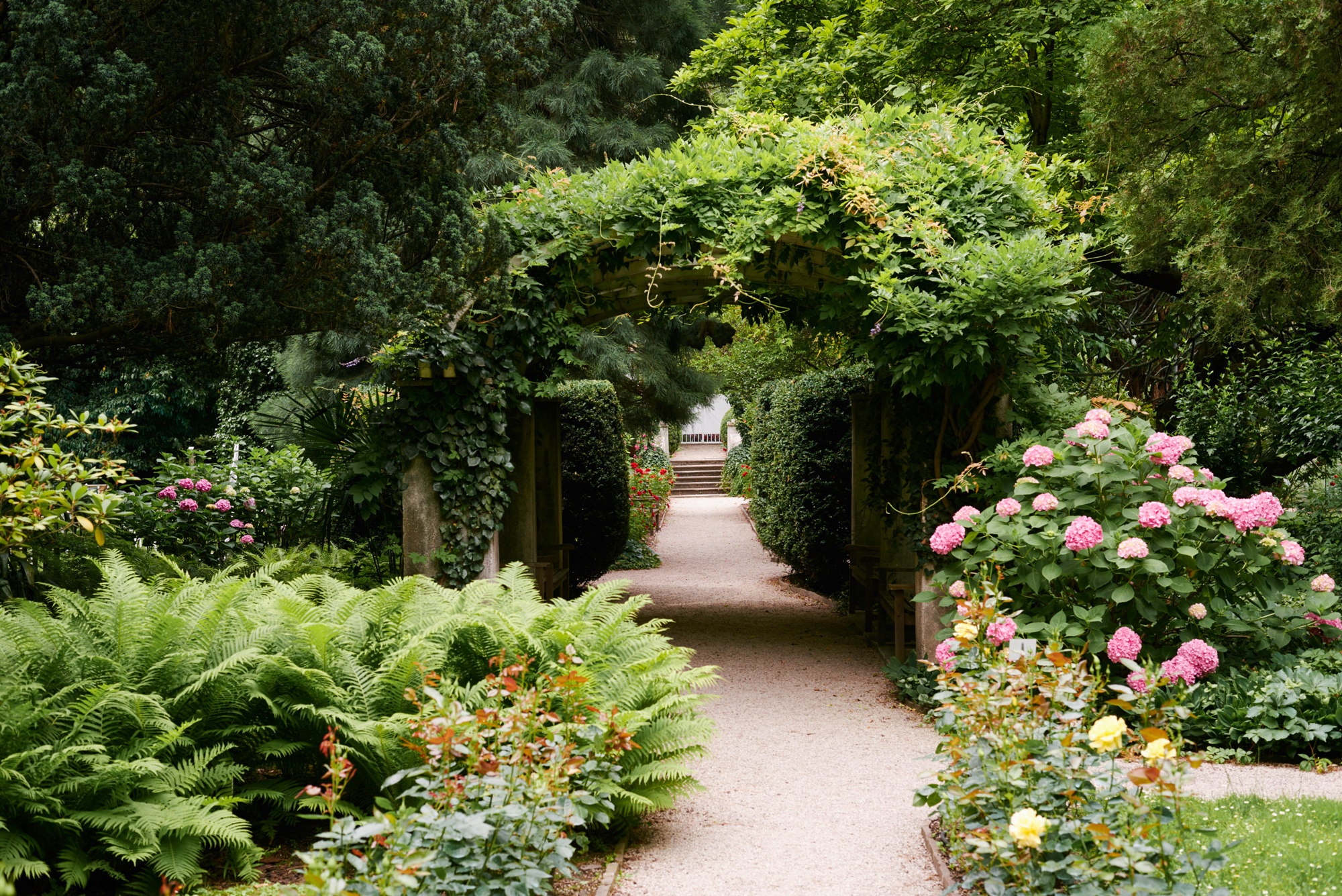 Lush garden pathway with arches covered in greenery, surrounded by blooming flowers and ferns at Parkhotel Laurin.