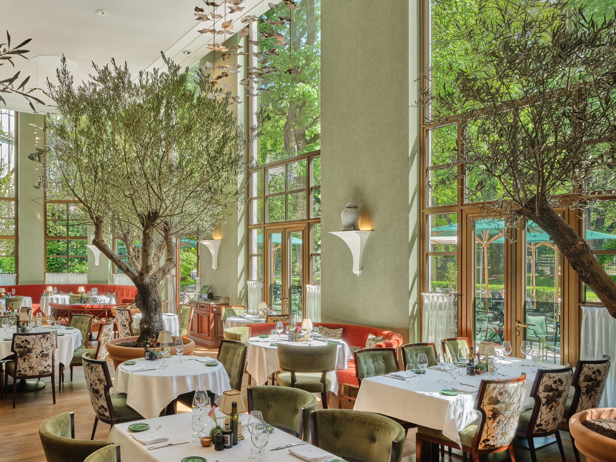 Elegant restaurant interior with large windows, olive trees, and round tables set for dining at The Charles Hotel.