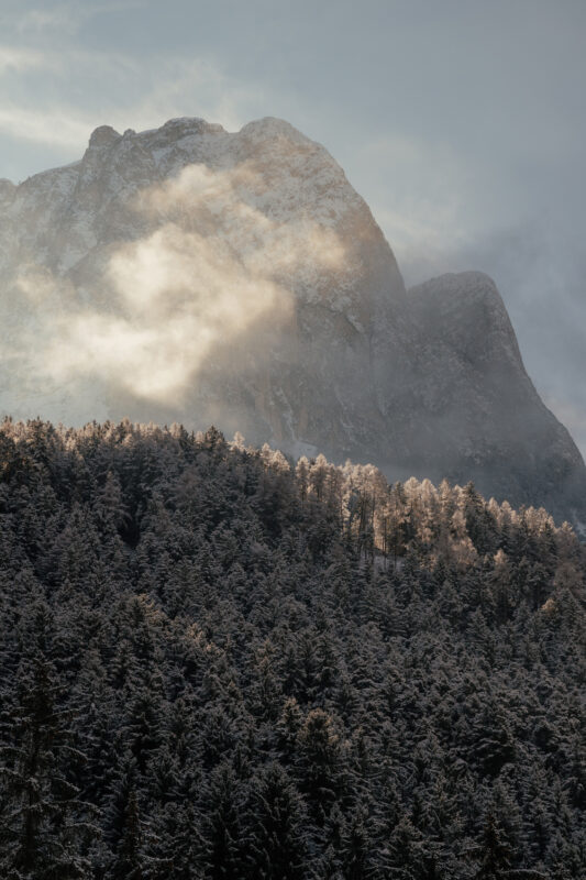 Majestic mountain peak shrouded in mist, surrounded by snow-covered trees in the Dolomites.