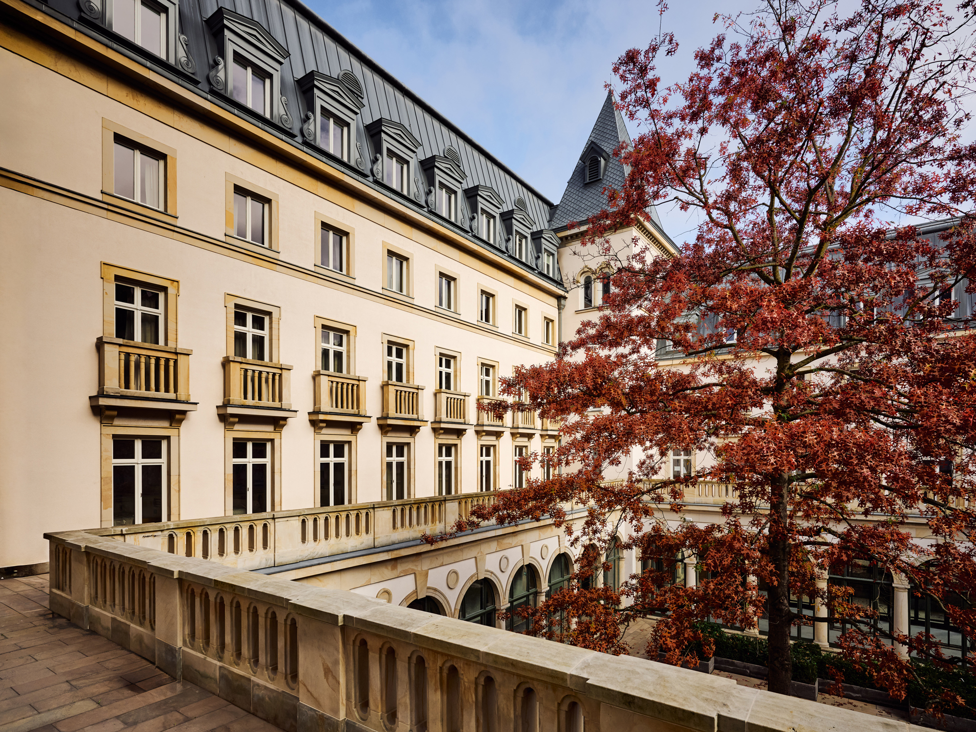 Courtyard view of The Florentin, featuring a tree with red leaves and elegant architecture.