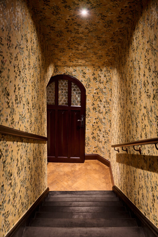 Staircase leading down to a wooden door, surrounded by floral-patterned wallpaper in warm tones.