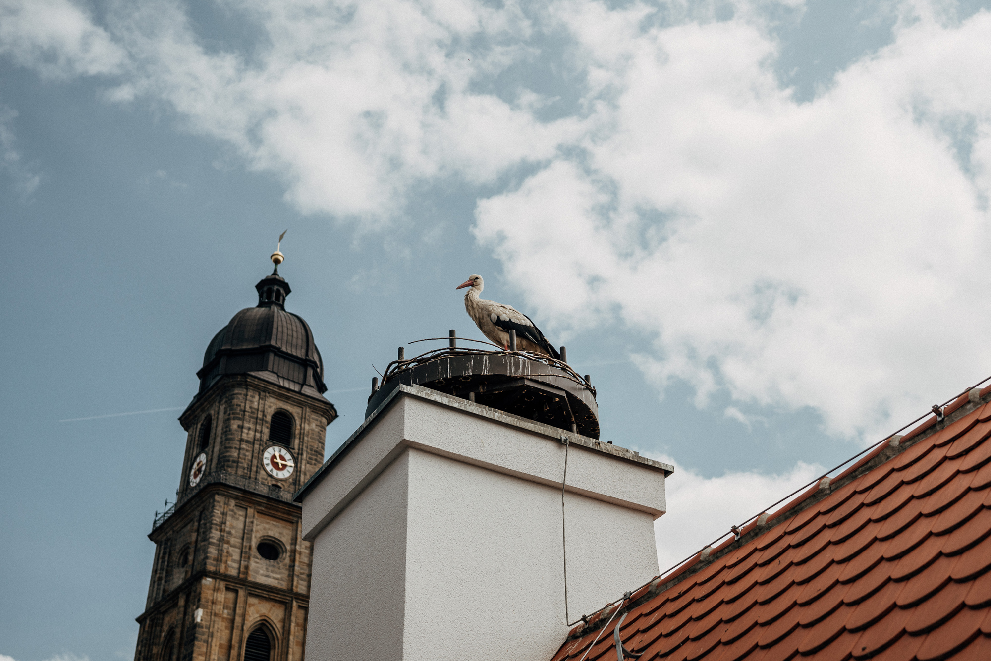 Stork perched on a rooftop chimney with a church tower in the background against a cloudy sky.