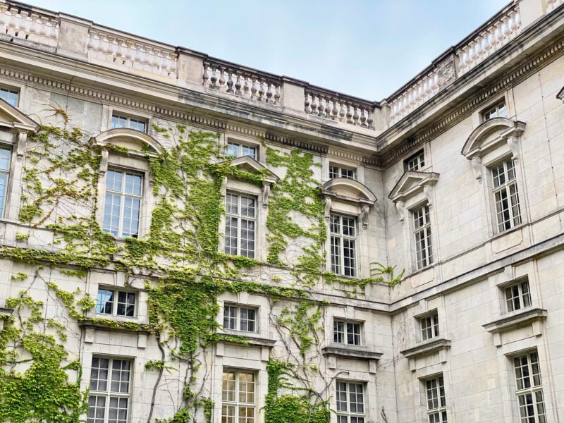 Historic building corner covered in green ivy, showcasing ornate windows and a classic architectural style.