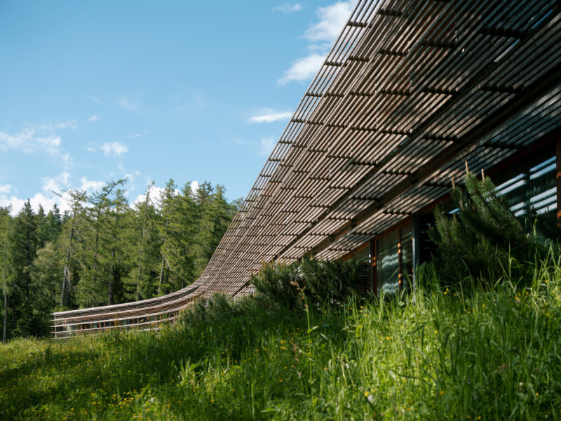 Curved wooden structure blends with green grass and trees under a blue sky, showcasing modern architecture.
