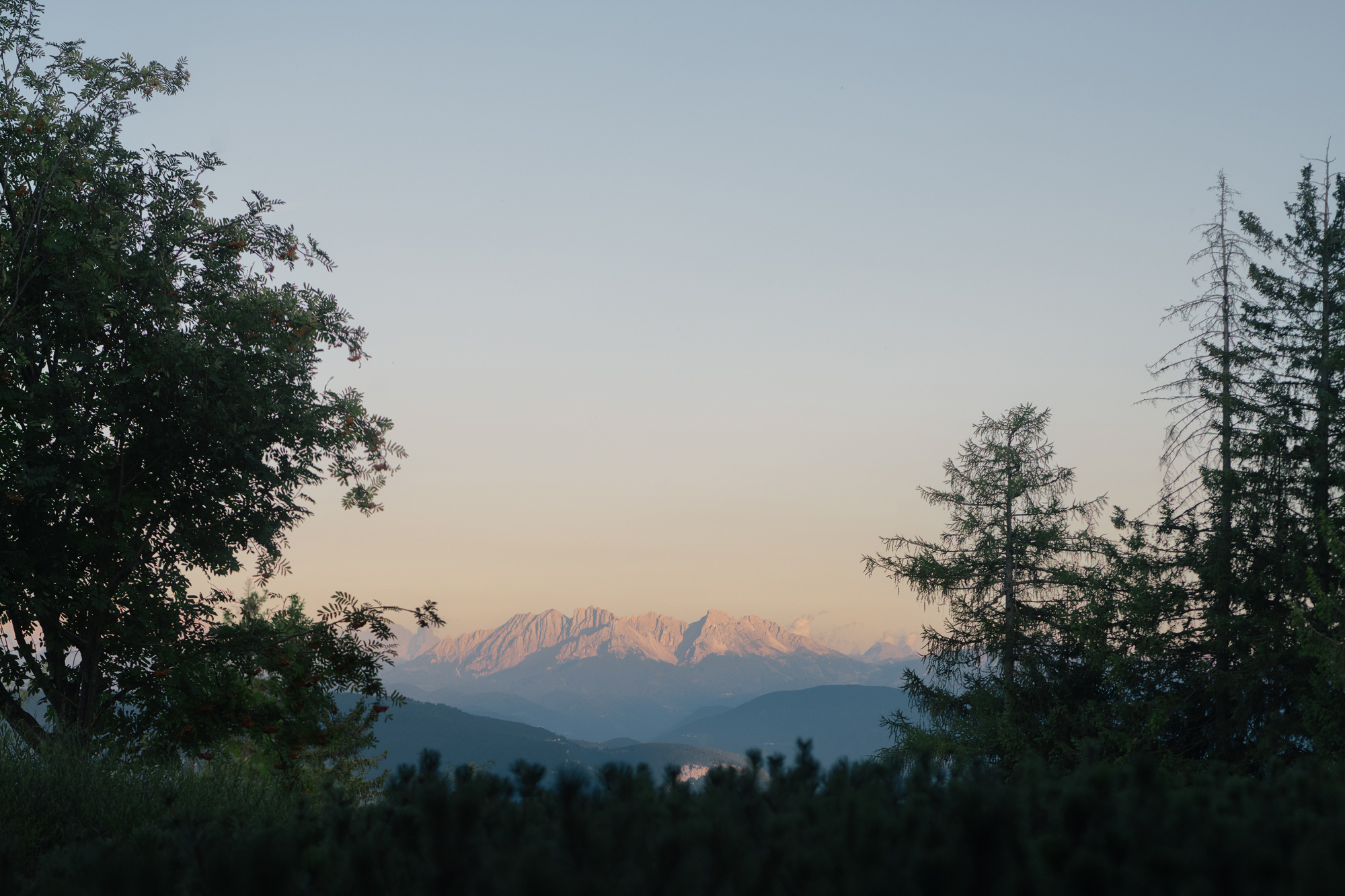 Mountain landscape at dusk, framed by trees, with peaks illuminated by soft light in the background.
