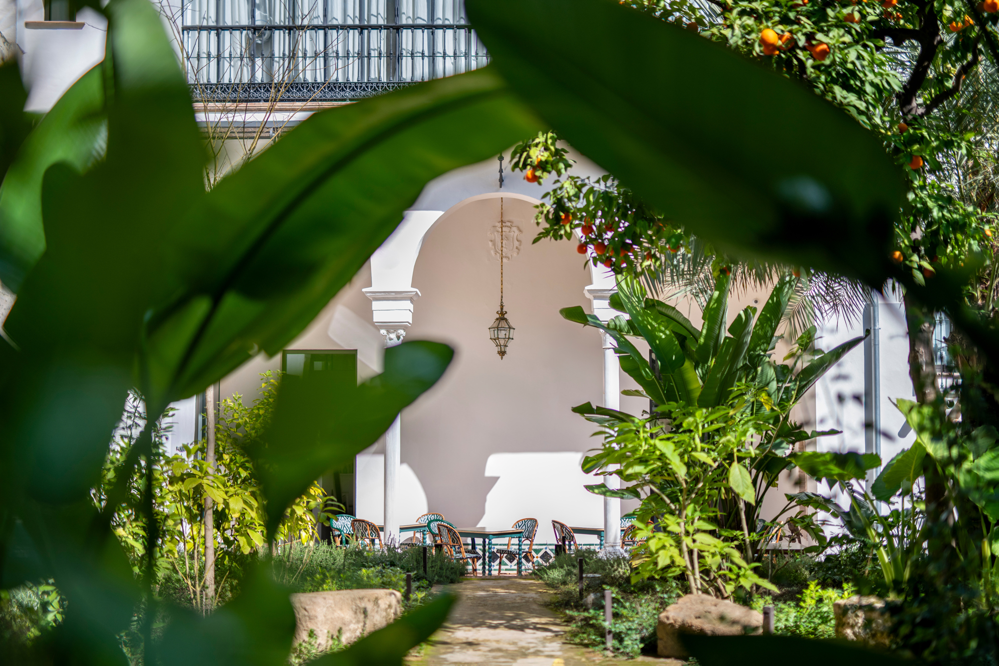 Lush greenery frames a courtyard with a lantern and seating area at Hotel Casa Limonero.