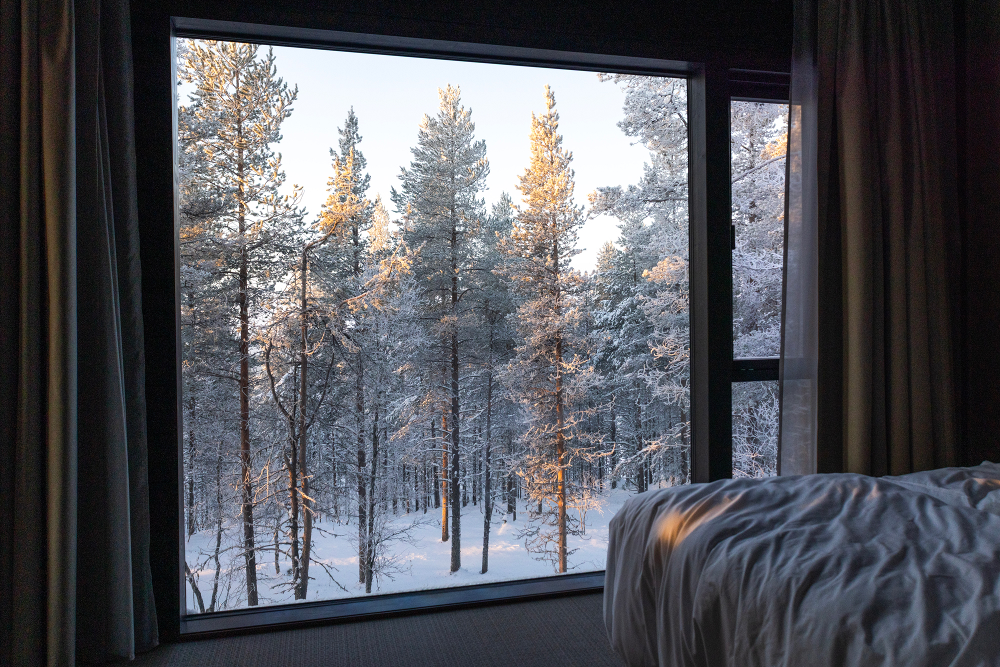 Snow-covered trees illuminated by sunlight seen through a large window, with a bed in the foreground.