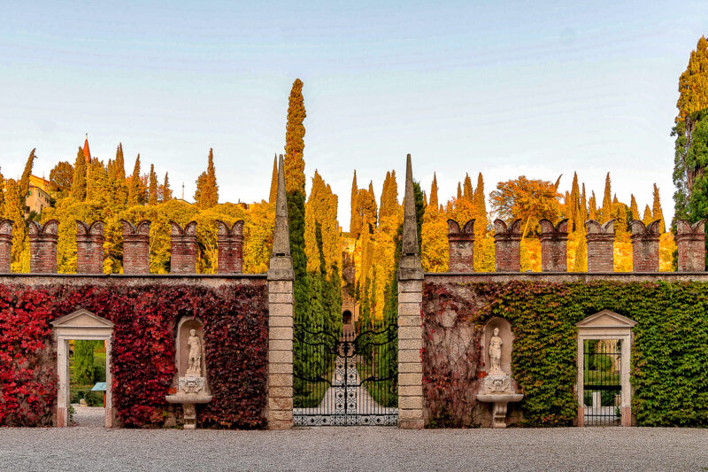 Walled garden entrance with ivy-covered walls, statues, and tall cypress trees, bathed in warm evening light.