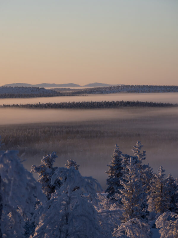 Snow-covered trees in the foreground with misty hills and mountains in the background during sunrise.