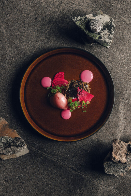 Artfully arranged dessert on a brown plate, featuring pink elements, a spherical scoop, and garnishes, surrounded by stones.