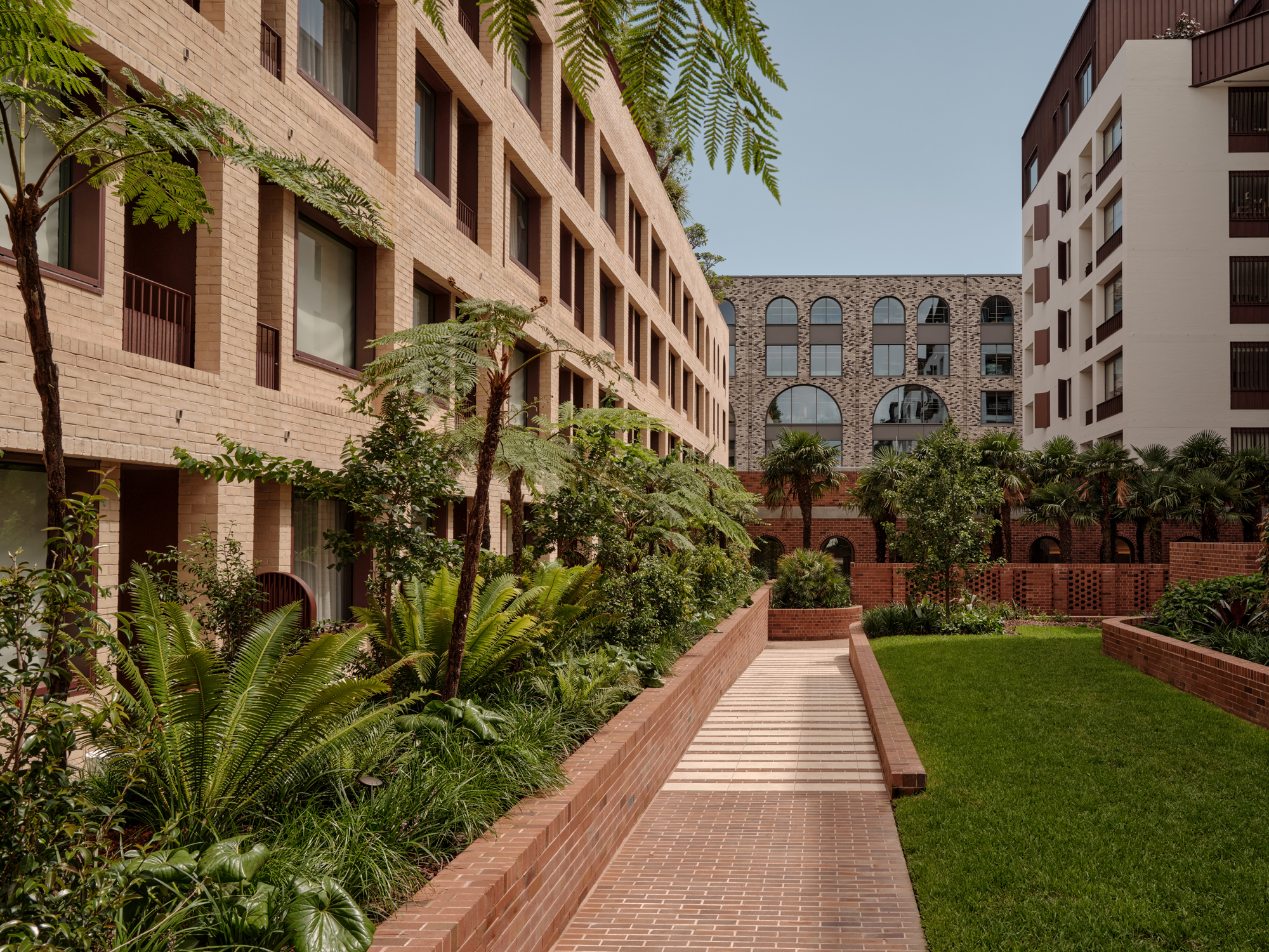 Lush garden path lined with brick walls and ferns, leading to modern architecture at The EVE Hotel Sydney.