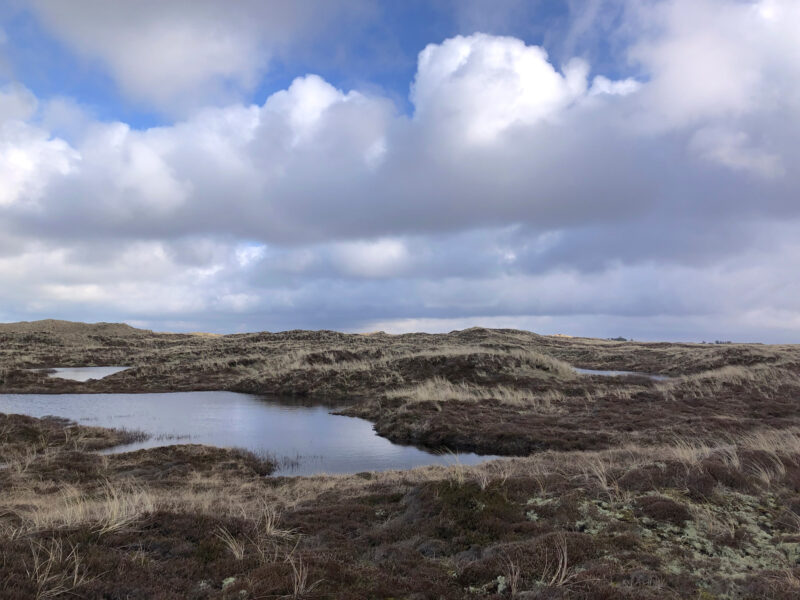 Lush, grassy landscape with small ponds under a cloudy sky at Klitmøller Hideaway.