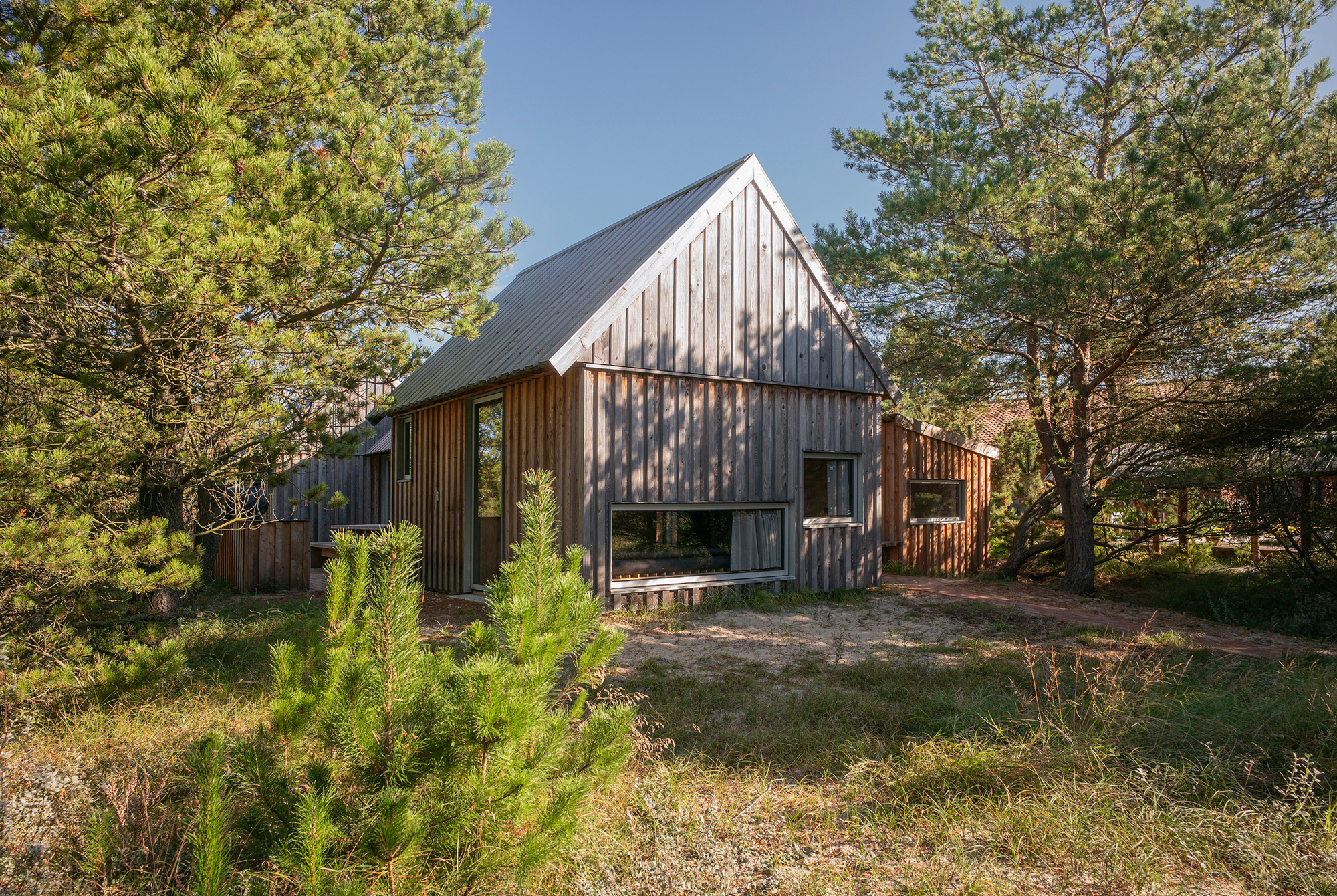 Modern wooden cabin with a triangular roof, surrounded by trees and grass in Klitmøller Hideaway.
