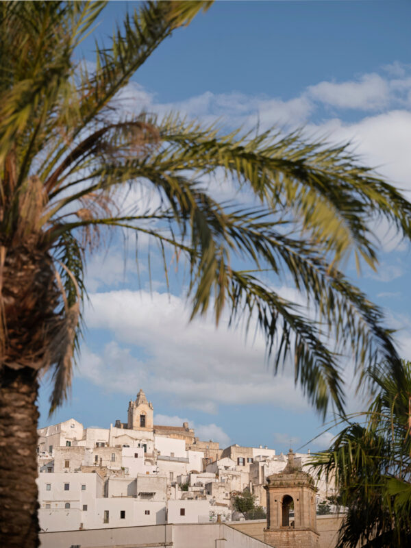 White buildings of Ostuni rise against a blue sky, framed by palm trees in the foreground.