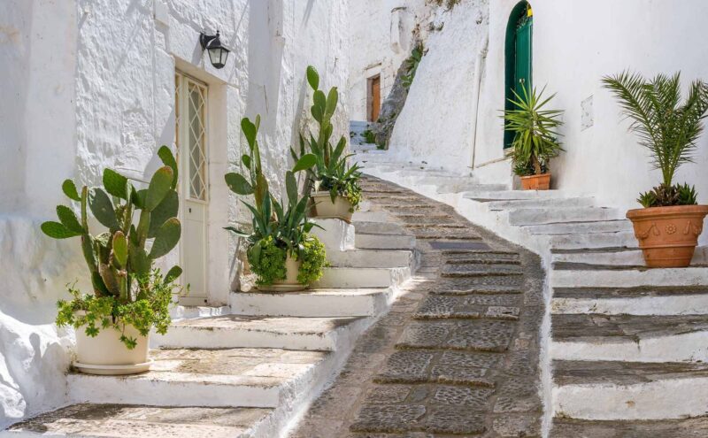 Narrow, sunlit cobblestone path with whitewashed walls, lined with potted cacti and greenery in Ostuni.