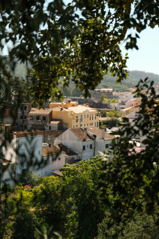 View of a town with yellow buildings and rooftops, framed by green foliage and trees.