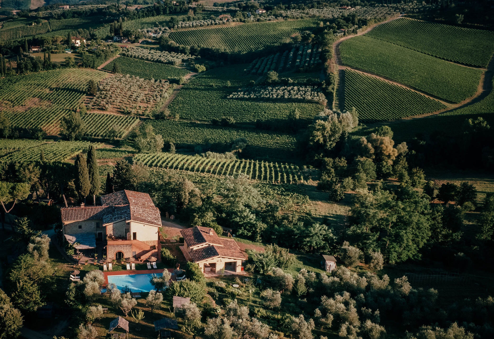 Aerial view of a rustic villa surrounded by olive groves and vineyards in a lush, green landscape.