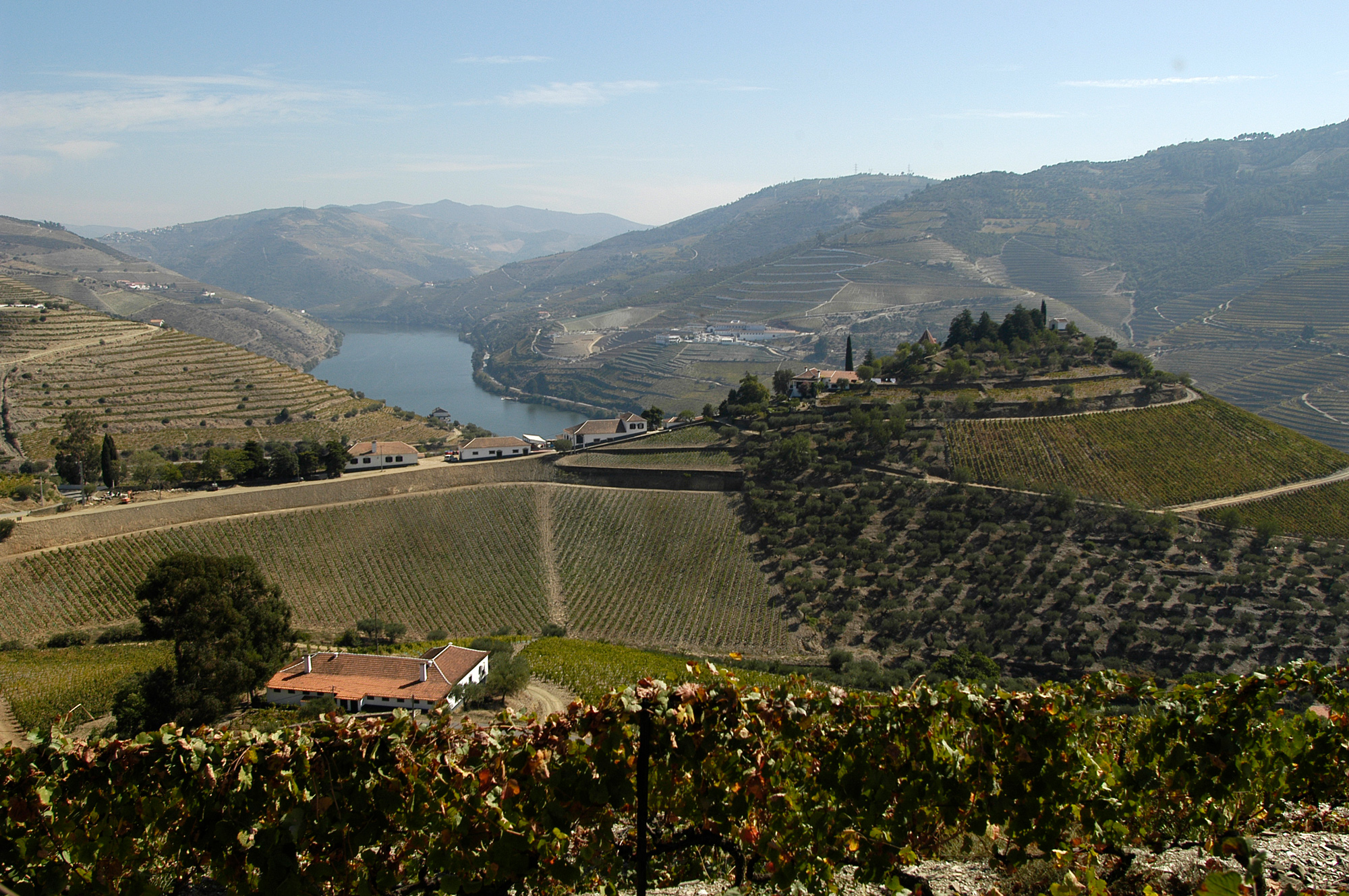 Vineyards and terraced hillsides surround a river valley at Quinta do Crasto, with distant mountains under a clear sky.