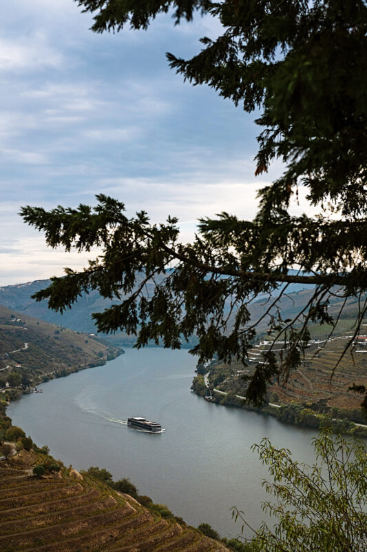 Scenic view of the Douro River with a boat navigating through terraced vineyards under a cloudy sky.