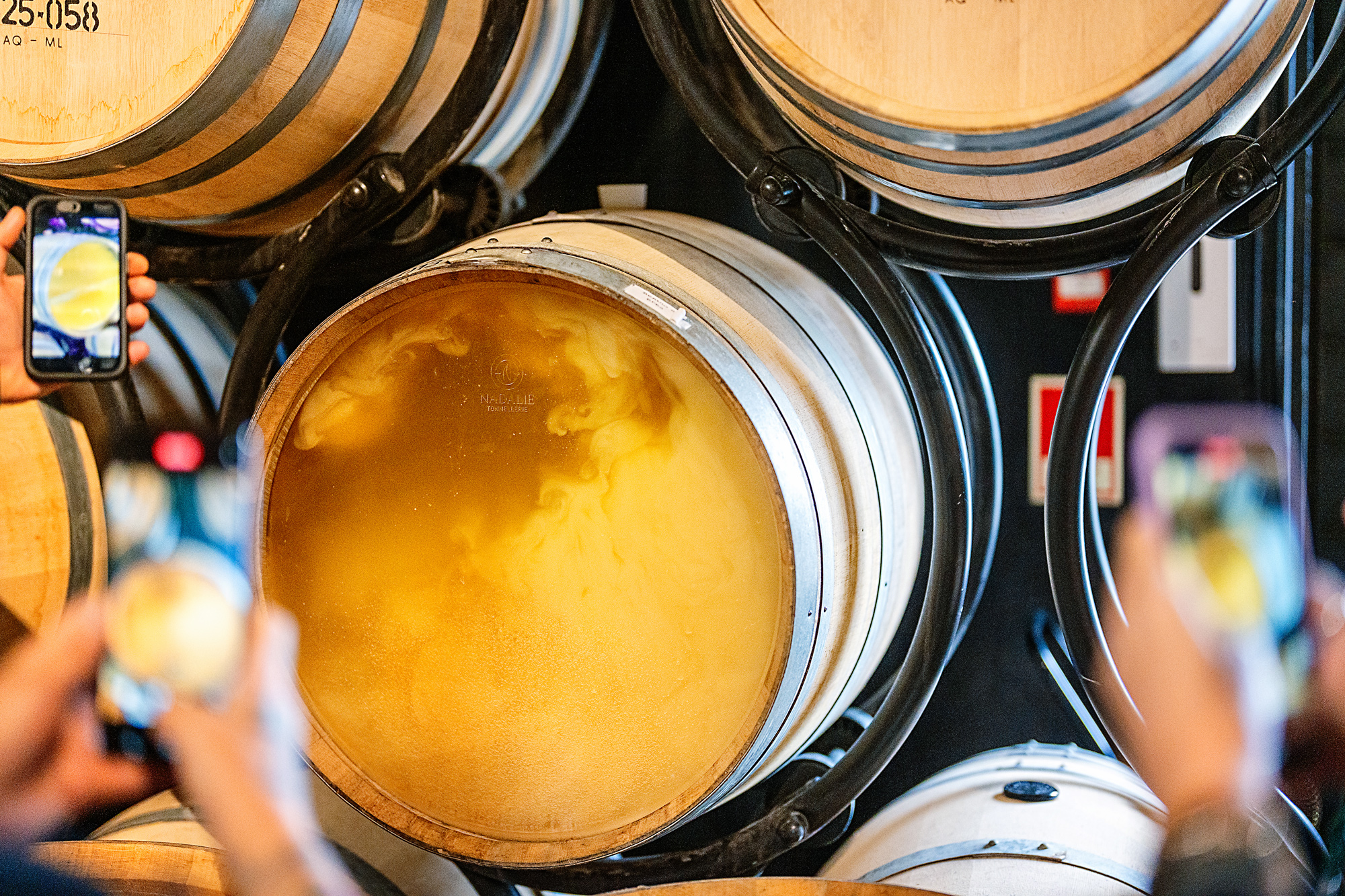 Golden liquid swirls in a wine barrel, surrounded by people taking photos with their phones at Quinta do Crasto.