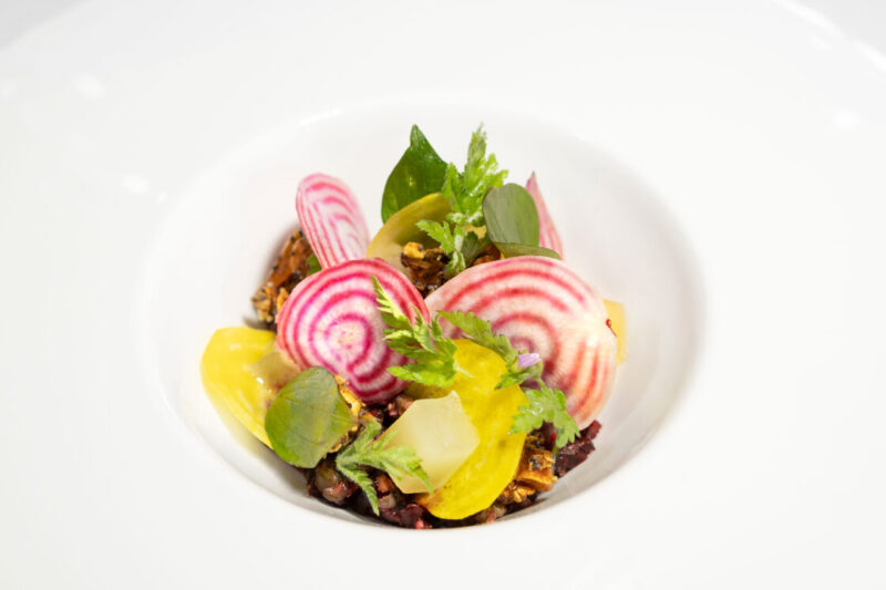 Colorful salad with striped beets, yellow tomatoes, and fresh herbs in a white bowl.