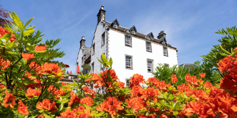Prestonfield House surrounded by vibrant orange flowers under a clear blue sky.