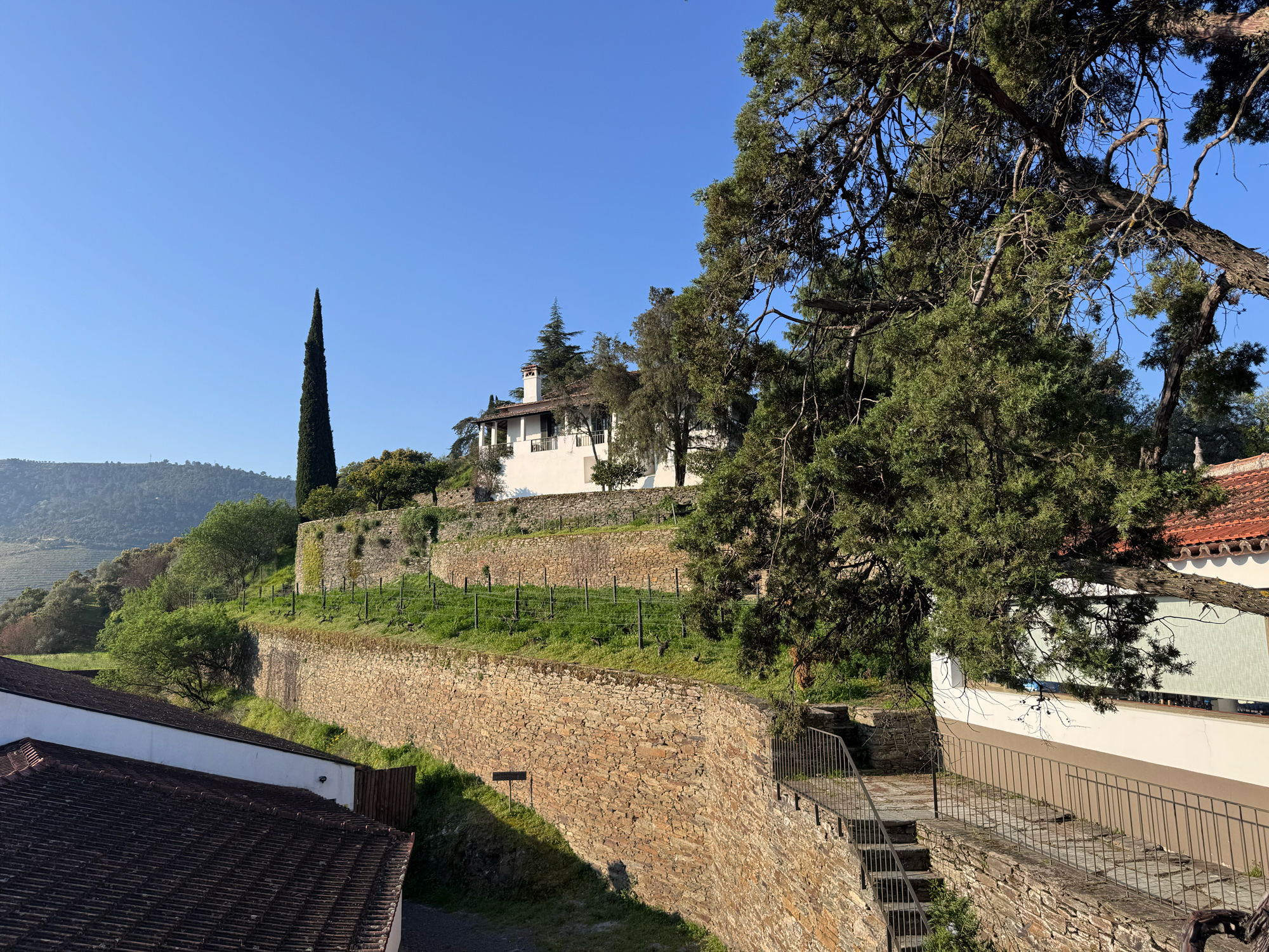 Quinta do Crasto vineyard with a white building on a hillside, surrounded by trees and a clear blue sky.