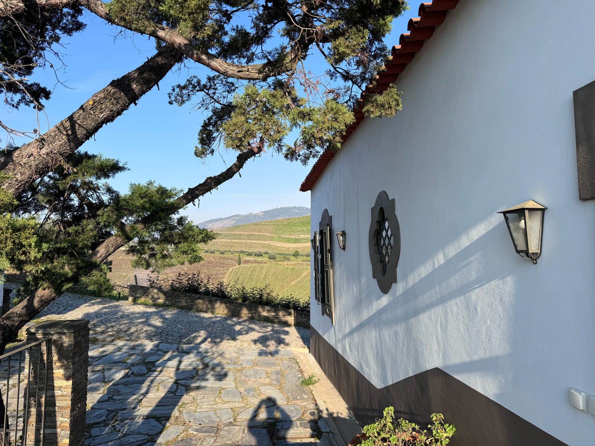 Quinta do Crasto vineyard view featuring a white building, stone pathway, and trees under a clear blue sky.