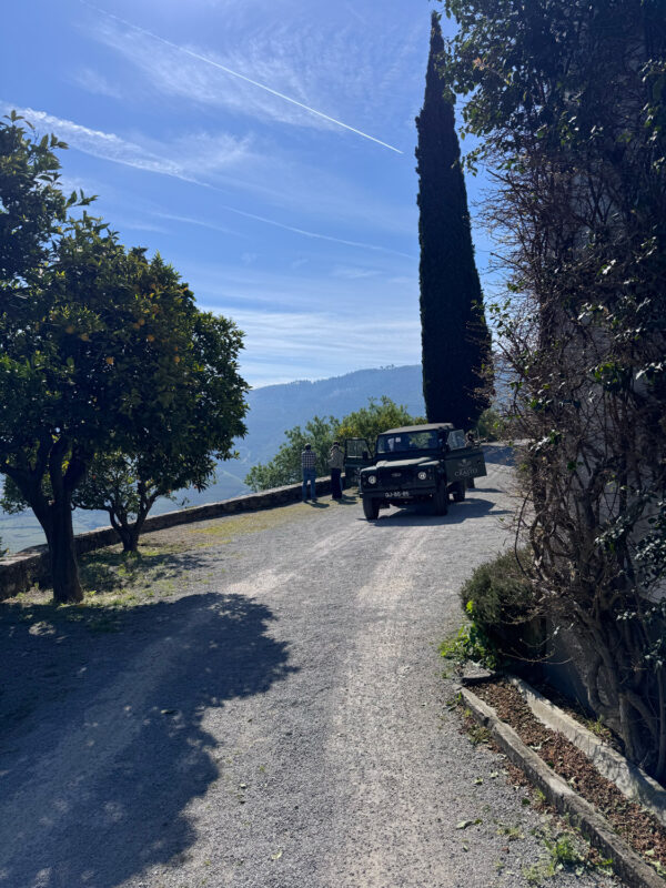 Gravel path lined with trees, leading to a vintage vehicle parked near a scenic view of hills under a blue sky.