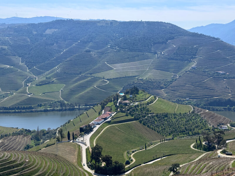 Vineyard landscape with terraced hills, a river, and a winery at Quinta do Crasto under a clear blue sky.
