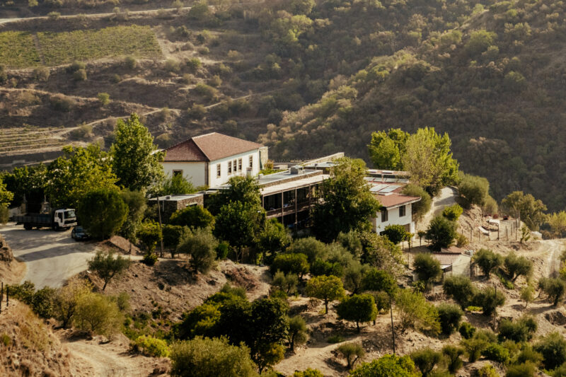 Vineyard estate with a white building surrounded by trees and hills, captured in warm afternoon light.