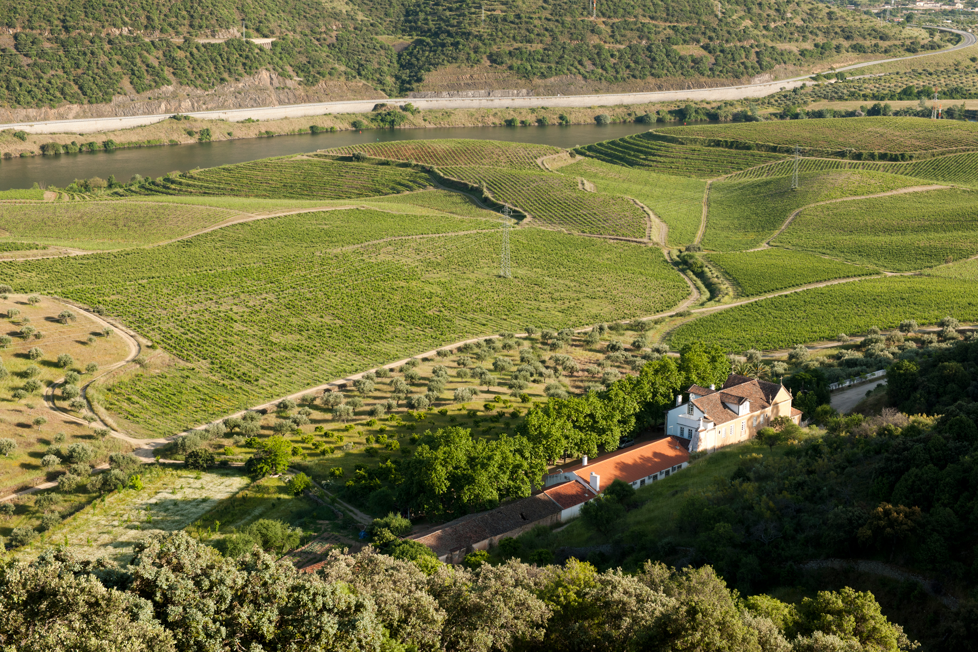 Quinta do Vale Meão - Gentle Traveller