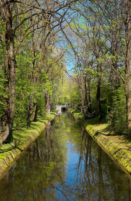 Lush green trees line a tranquil canal reflecting the blue sky, captured in Munich's Olympic Park.