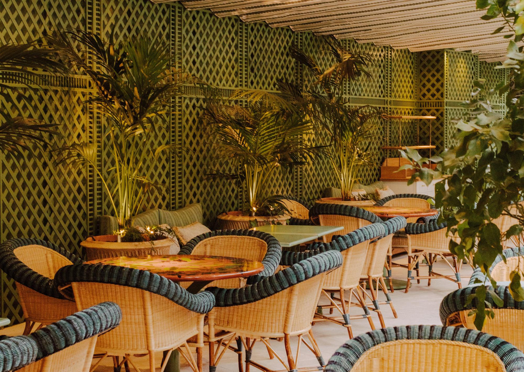 Lush indoor seating area at Saint James Paris featuring wicker chairs, vibrant tables, and greenery against a patterned ba...