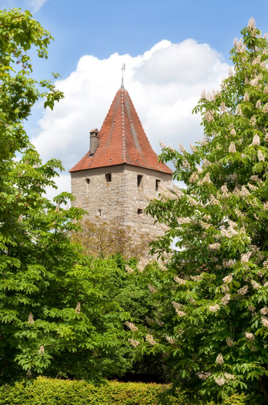 Historic tower with a red-tiled roof surrounded by lush green trees and blooming flowers under a blue sky.