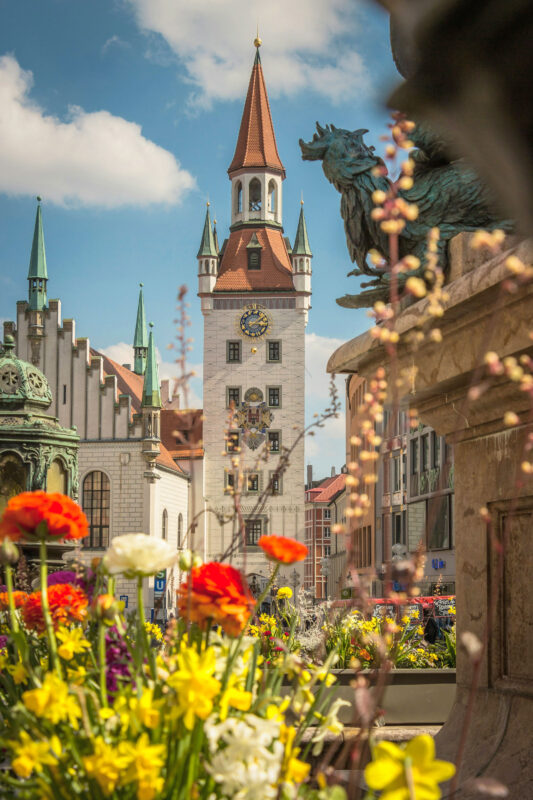 Colorful flowers in the foreground with a clock tower and historic buildings in the background under a blue sky.