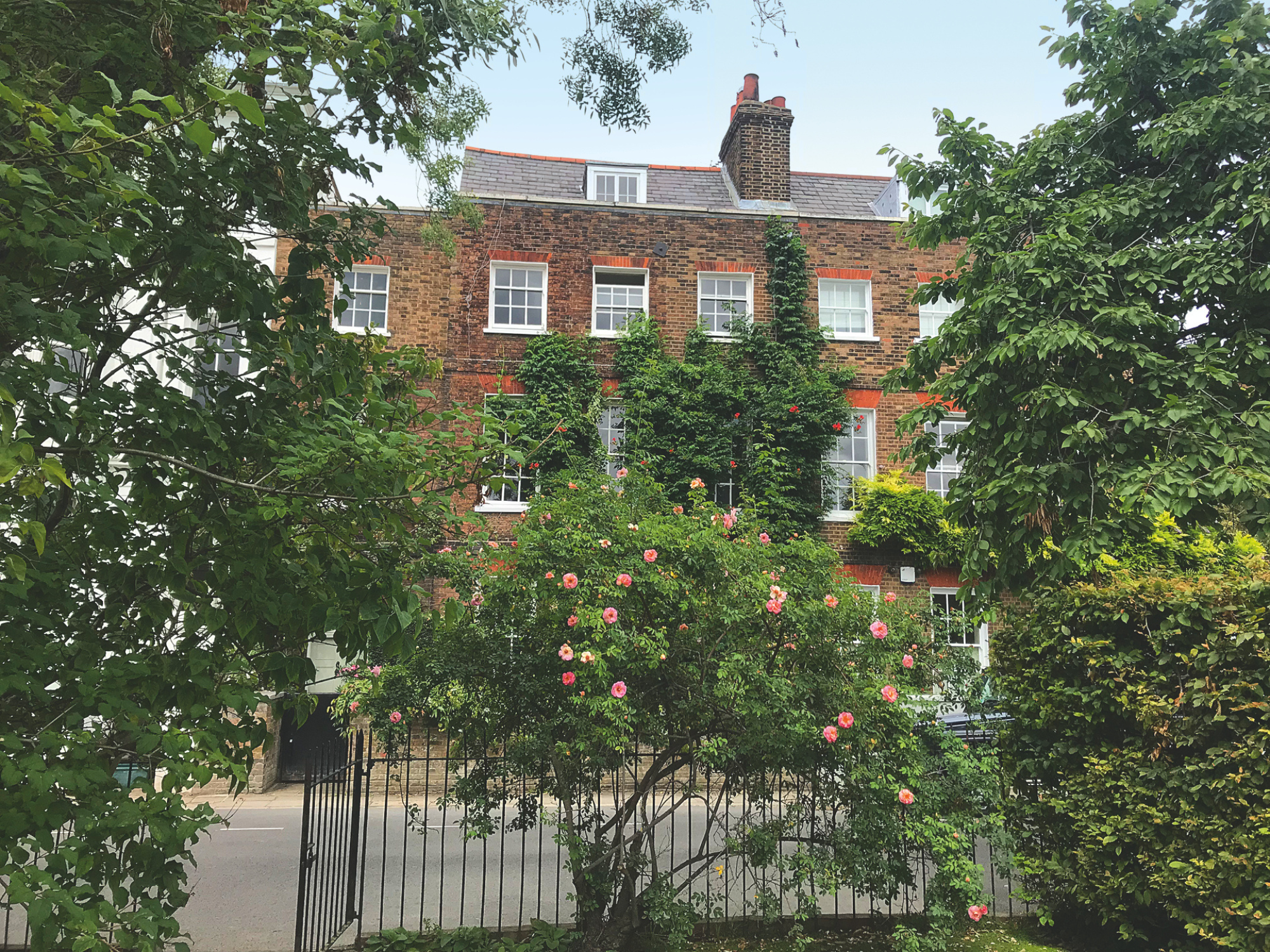 Brick building with multiple windows, partially covered in greenery, framed by trees and a flowering bush in the foreground.