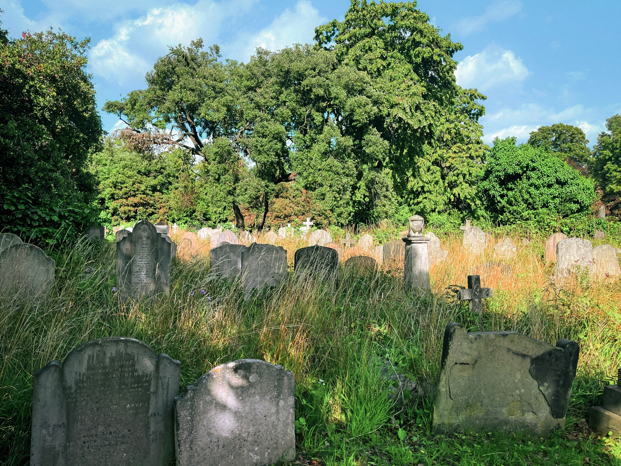Overgrown cemetery with weathered gravestones surrounded by tall grass and trees under a blue sky.
