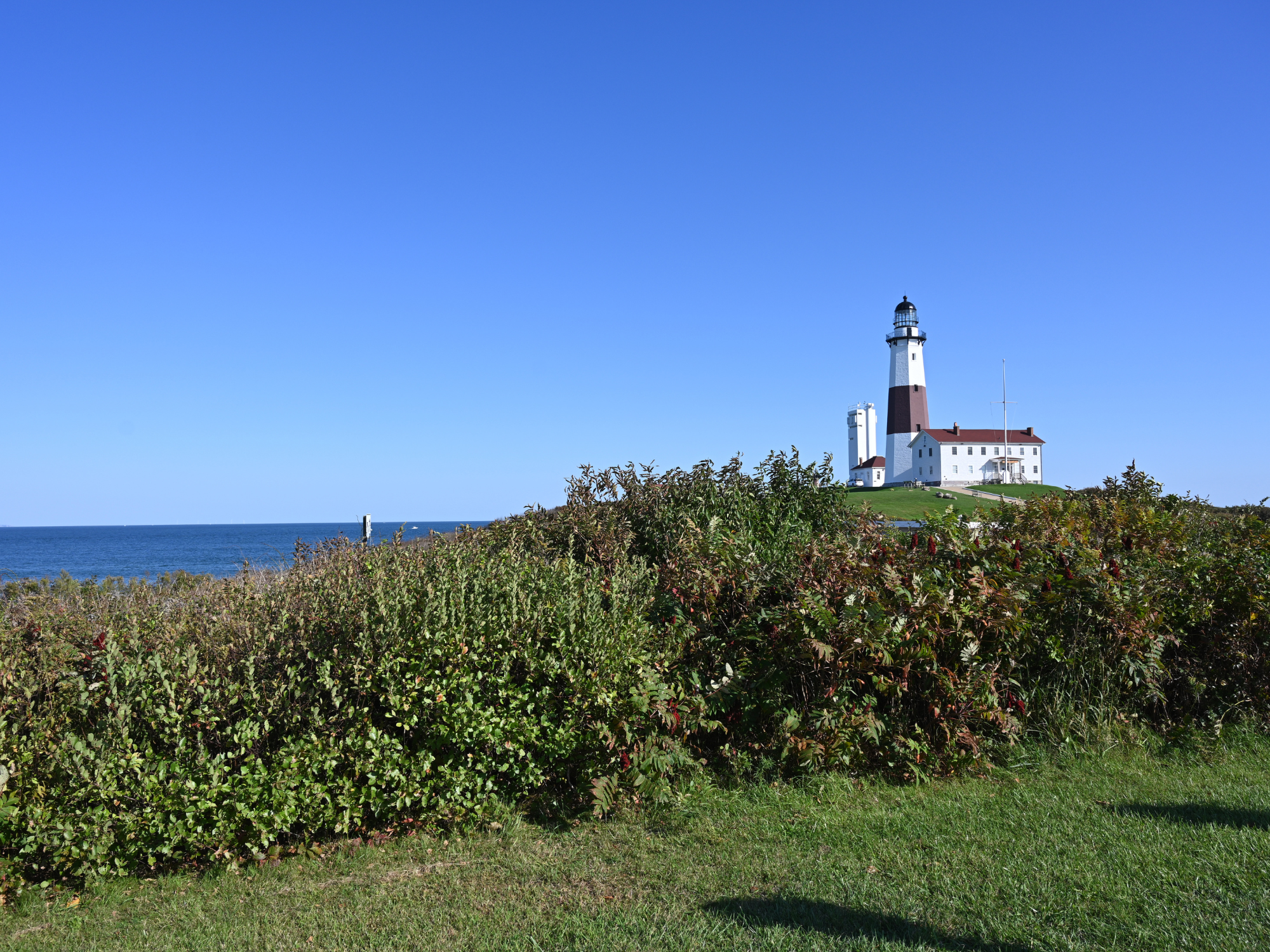 Lighthouse on a grassy shore with blue sky and ocean in the background, taken in New York.
