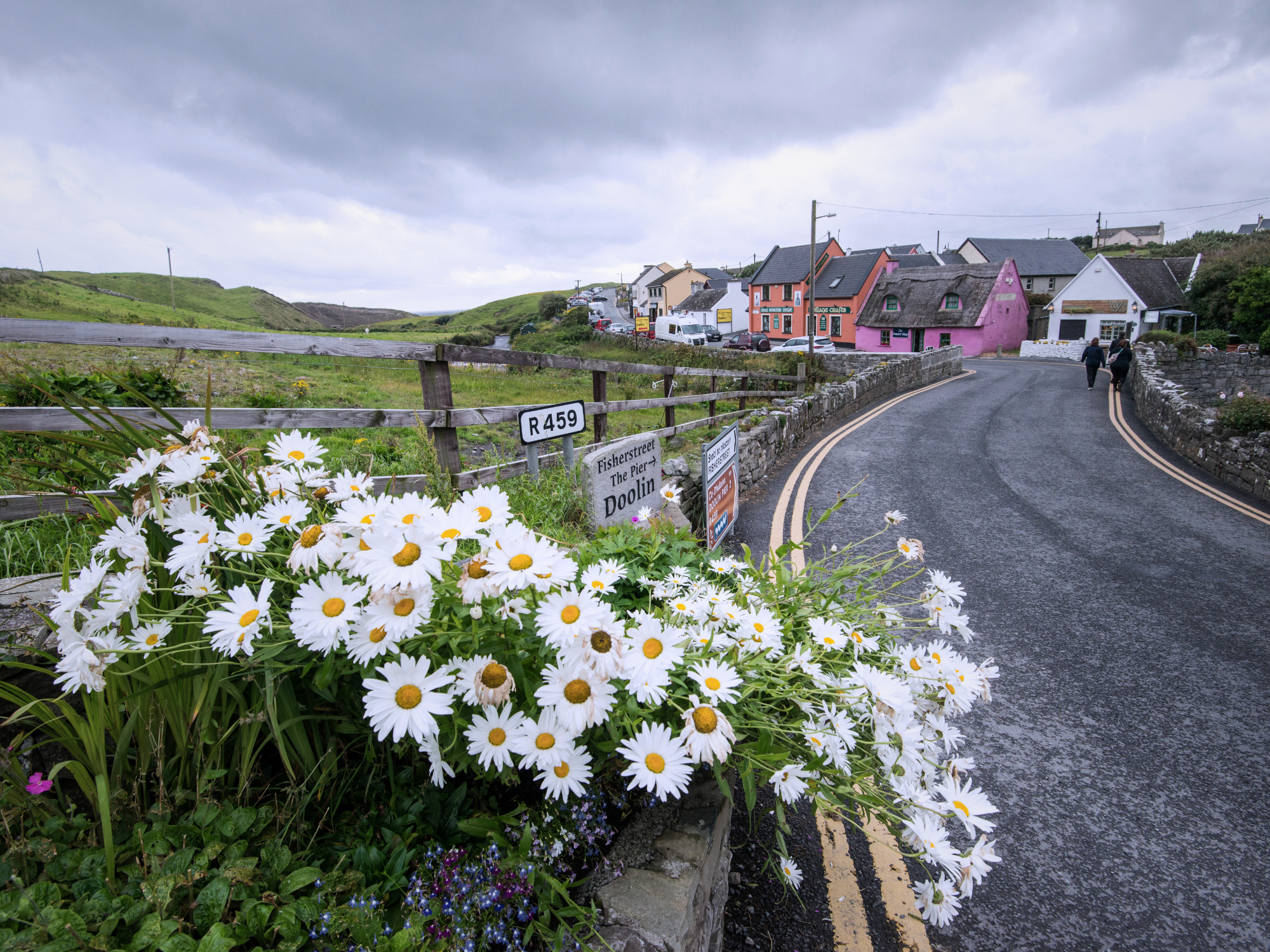 Daisies bloom along a road leading to colorful houses in a rural Irish landscape under a cloudy sky.